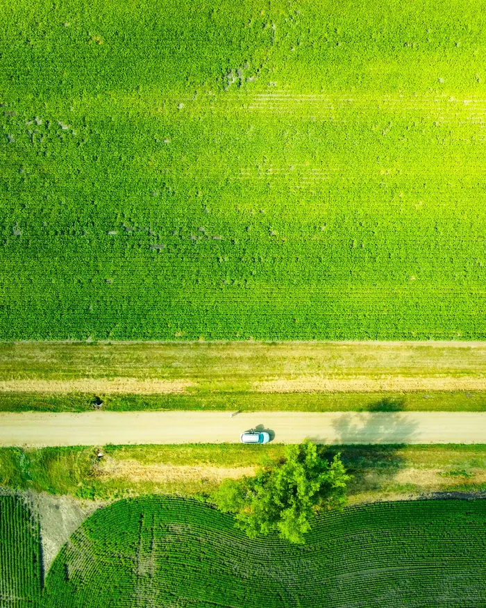 Aerial view of green arable fields divided by a farm track